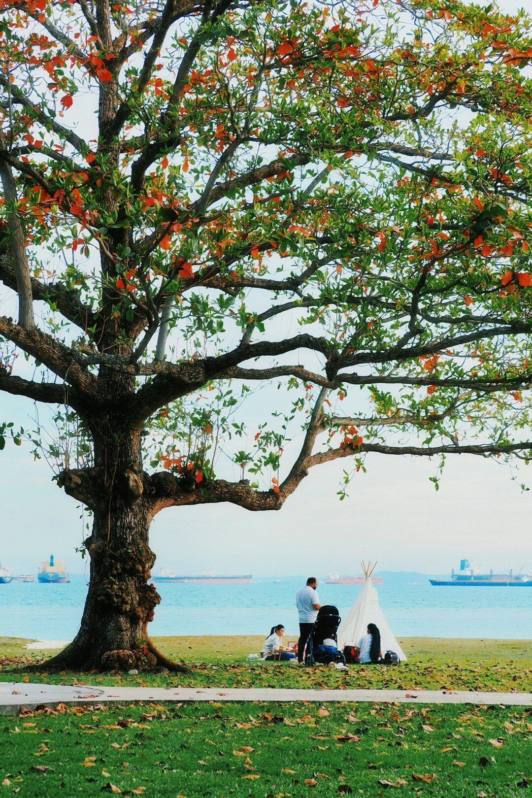 family picnic in park