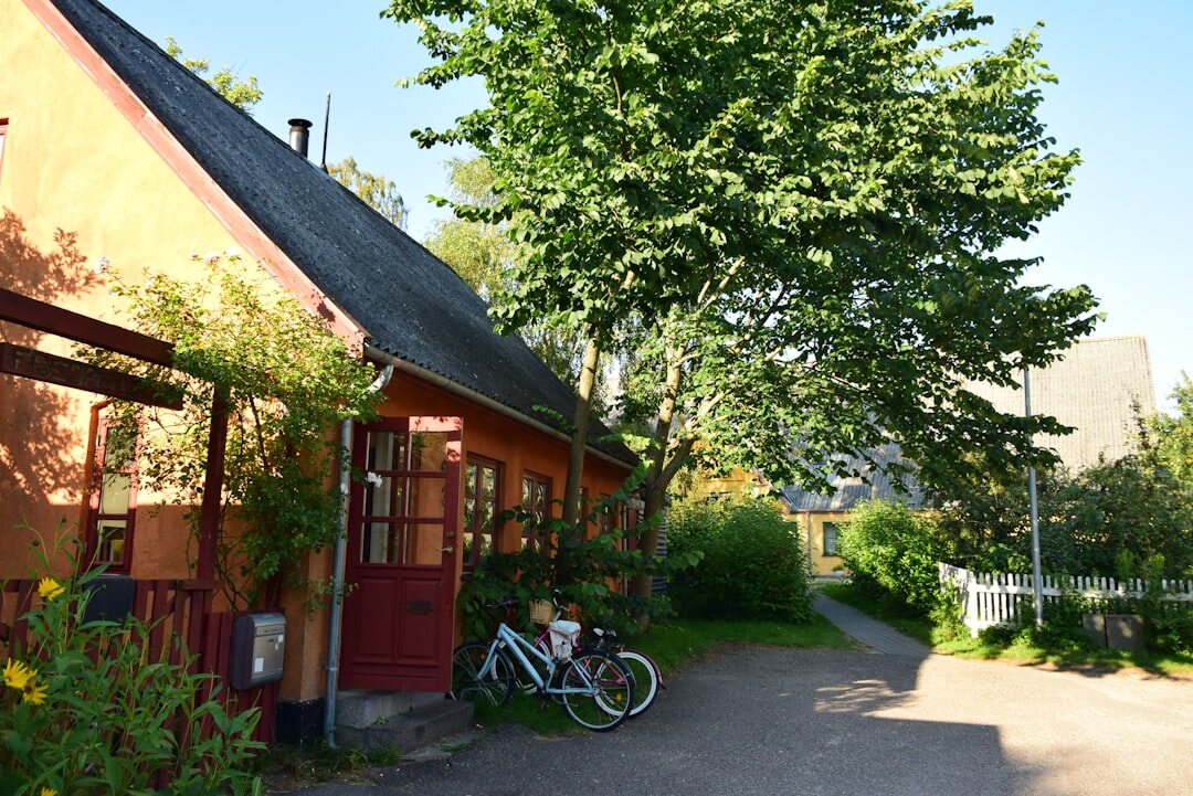 interview in danish village
